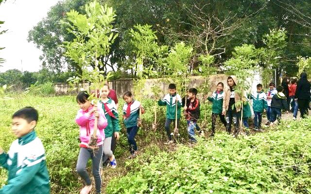 Tiếp tục tổ chức việc trồng cây trong ngành Giáo dục.