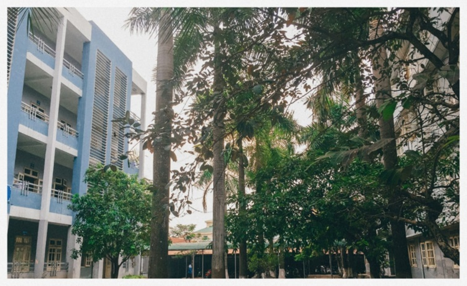 TRAO YÊU THƯƠNG, NHẬN ÂN TÌNH